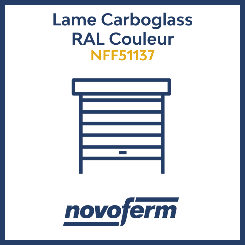Lame carboglass RAL couleur_garage_Novoferm_NFF51137